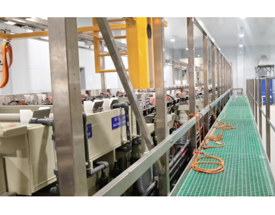Automatic Alkaline Galvanized Plating Line for auto parts